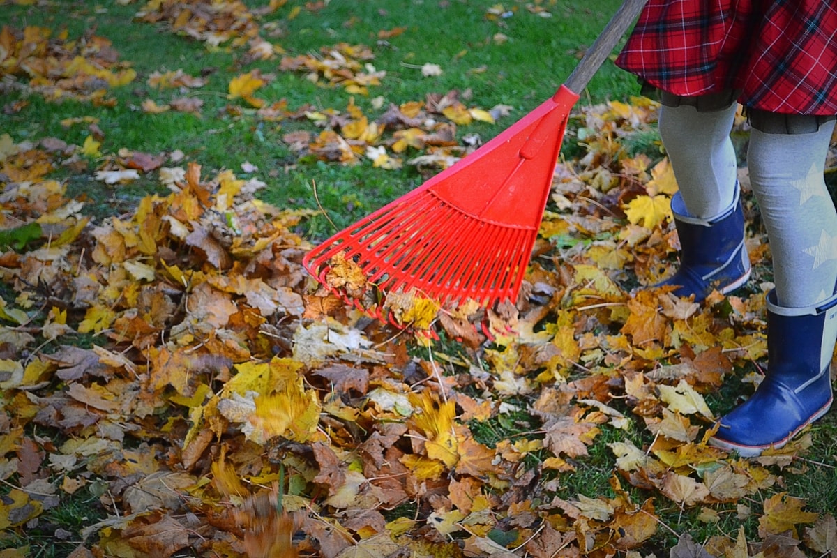 5 Things to Do to Your Yard in the Fall Season