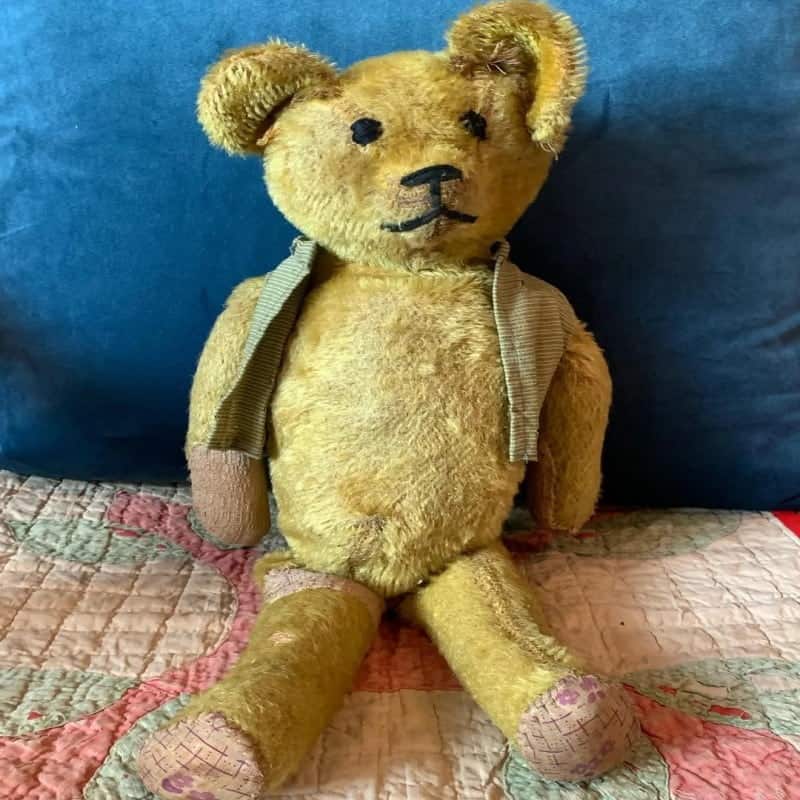 antique teddy bear collectors